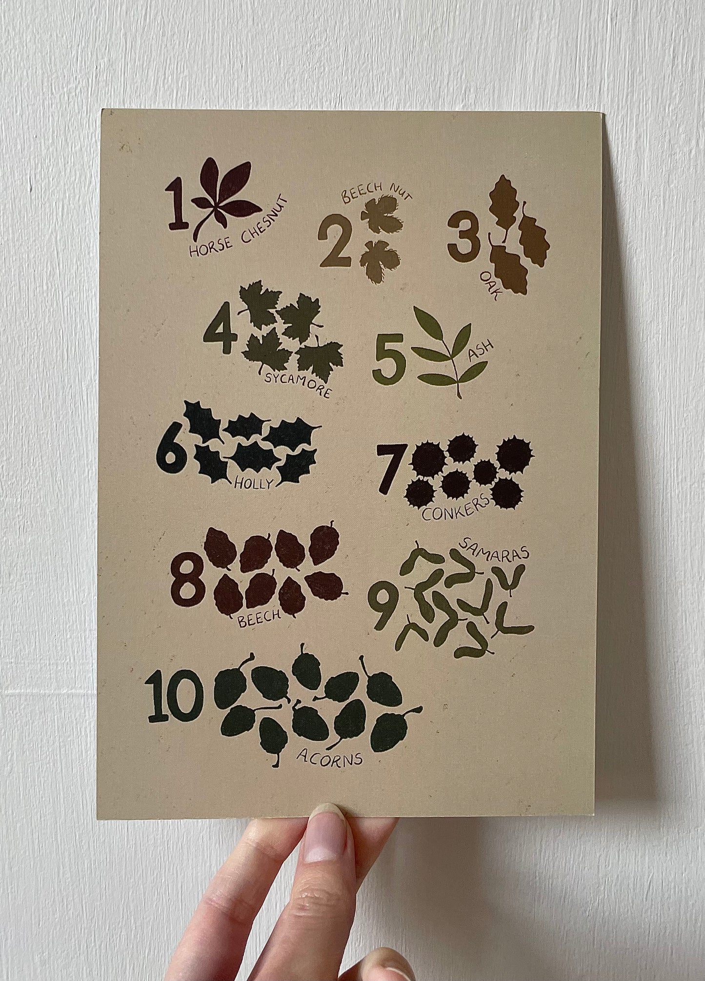 Numbers Print - The Forest